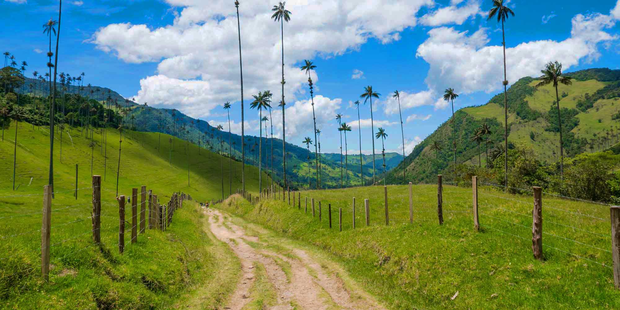 Activitites in Colombia's Coffee Region