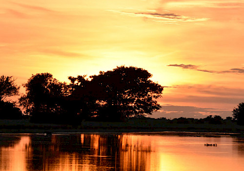 Colombia Los Llanos - Eastern Region