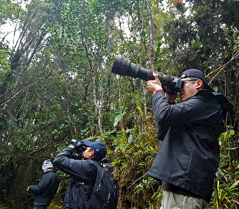 Colombia birding photography