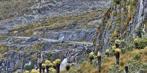Los Nevados National Natural Park
