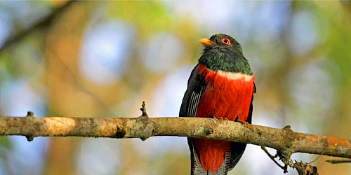 Rio Blanco Nature Reserve