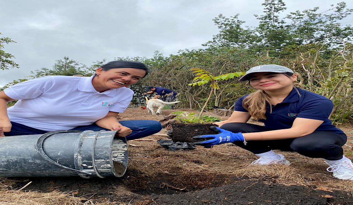 planting trees in colombia