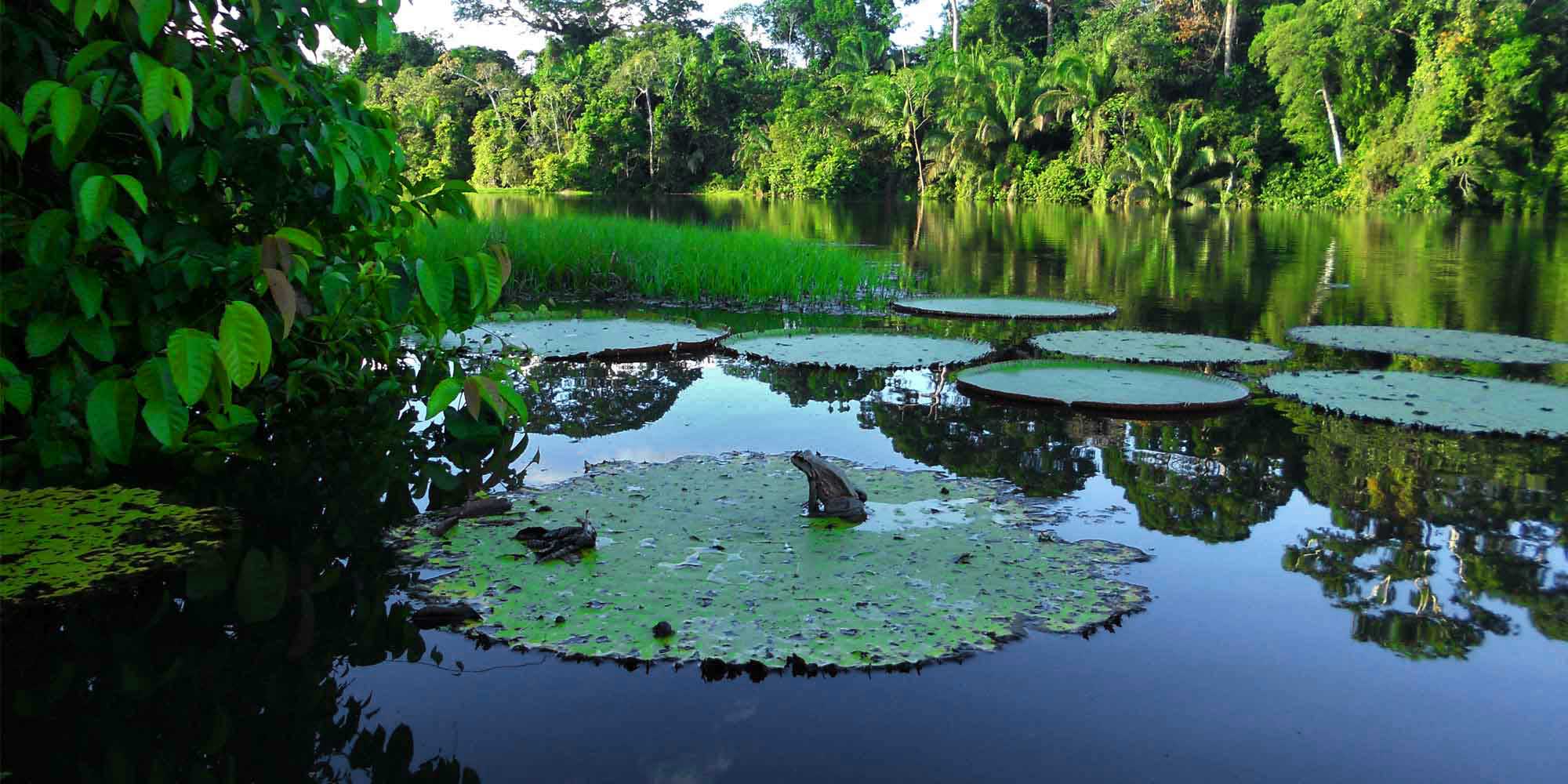 Colombia Amazon  Tour and Activities