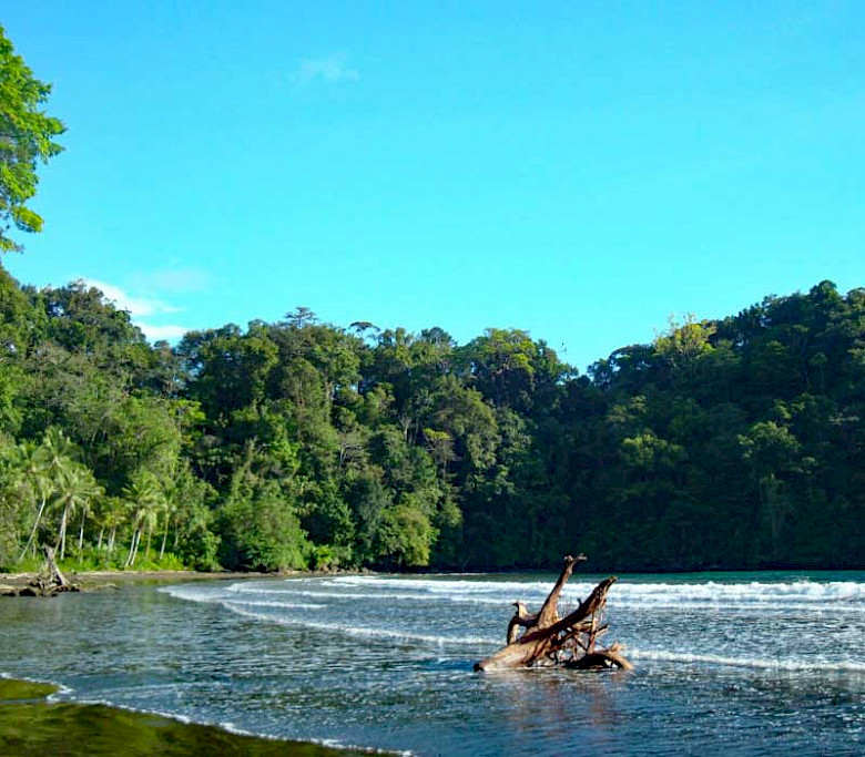 Nuqui Colombia