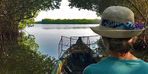 La Boquilla Colombia Tour