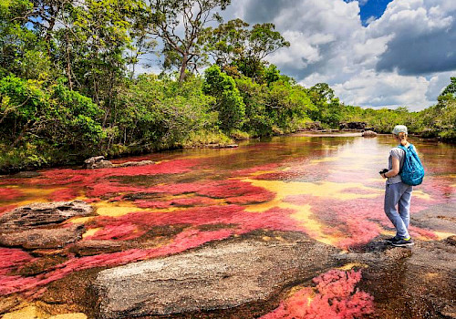 Cano Cristales