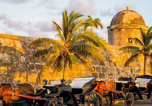Cartagena Highlights Tour Colombia