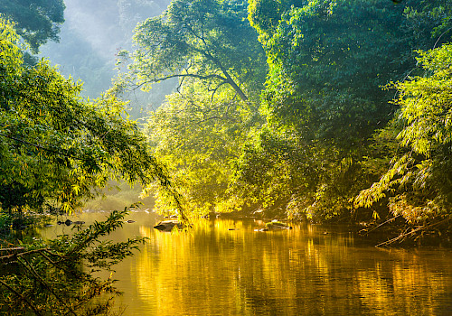 Colombia Nature Tours